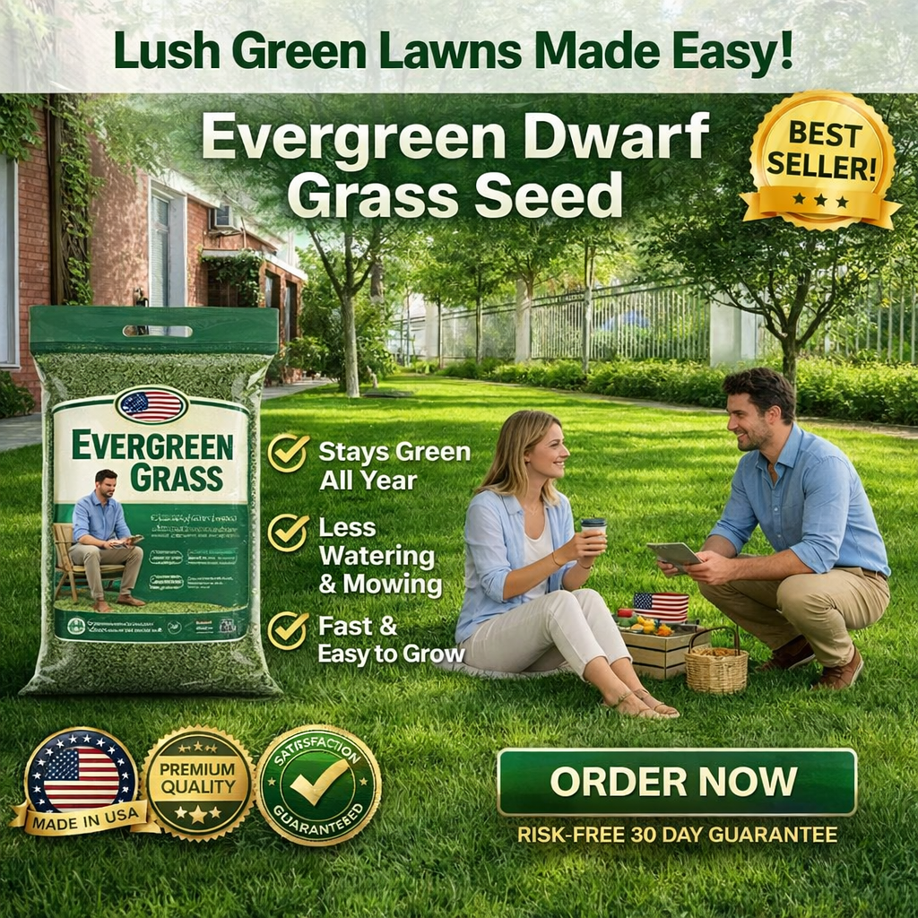 /69d90c1f1a69a90009593e75/2026/04/16/product-img-69e11e0e373c02bd69cc089c.png