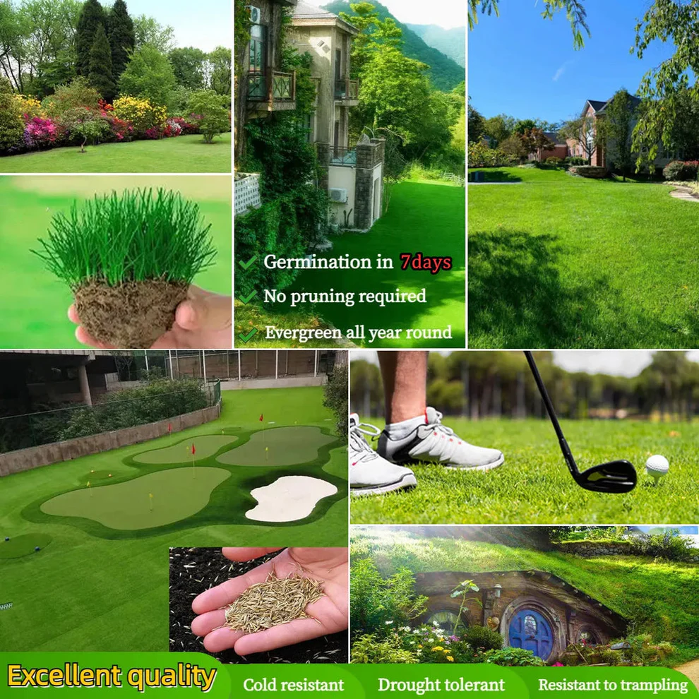 /69d90c1f1a69a90009593e75/2026/04/16/product-img-69e11e0f373c02bd69cc08a1.png